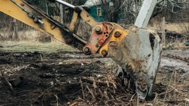 5 Cost-Effective Ways the Best Land Clearing Company in Texas, NY, Can Help Clear Your Land