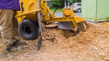 Best Stump Grinding Services in Texas Ny: 4 Lawn Problems They Solve