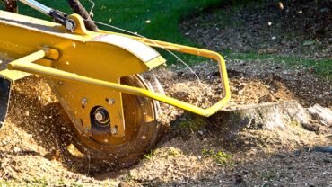 4 Amazing Benefits of Hiring Professionals For Stump Removal