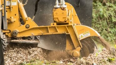 Stump Grinding Services: Amazing Benefits It Brings For Your Property